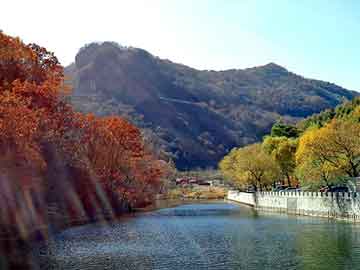 澳门二四六天天彩图库，同居大明星